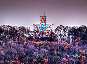 Happy Veterans' Day By Terry Aldhizer